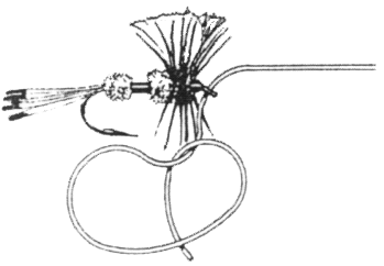 11.gif (19381 bytes)