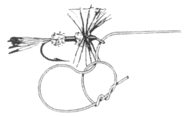 11a.gif (10912 bytes)