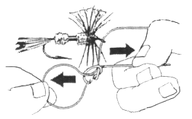 11b.gif (13274 bytes)