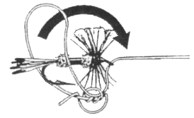 11c.gif (15064 bytes)