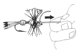 11d.gif (12711 bytes)