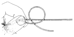 22a.gif (7711 bytes)