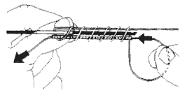 2b.gif (9048 bytes)