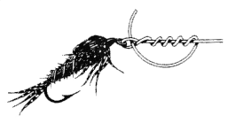6.gif (7807 bytes)