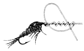 6a.gif (9740 bytes)
