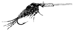 6b.gif (6985 bytes)